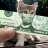 MoneyCat